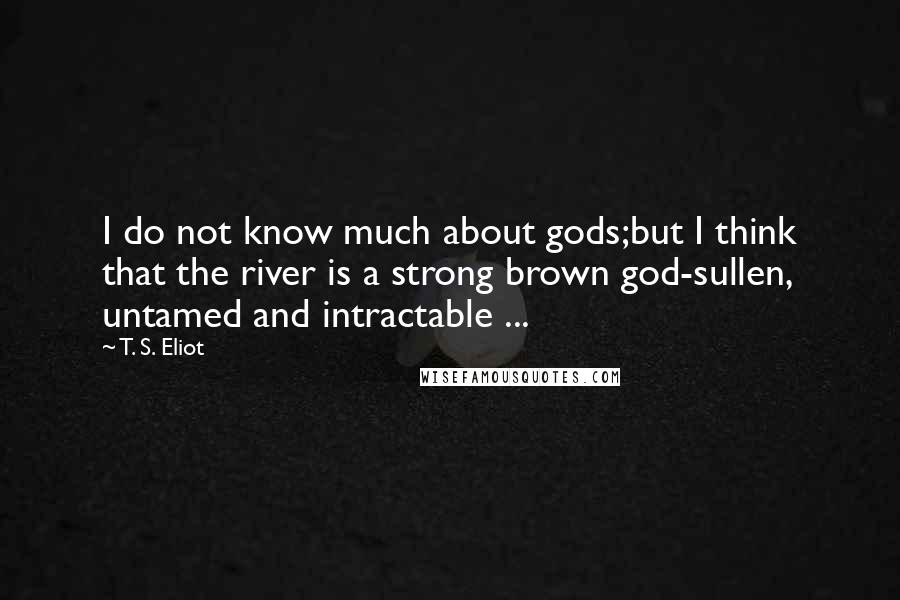 T. S. Eliot Quotes: I do not know much about gods;but I think that the river is a strong brown god-sullen, untamed and intractable ...