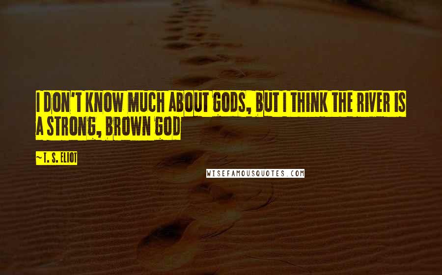 T. S. Eliot Quotes: I don't know much about gods, but I think the river is a strong, brown god
