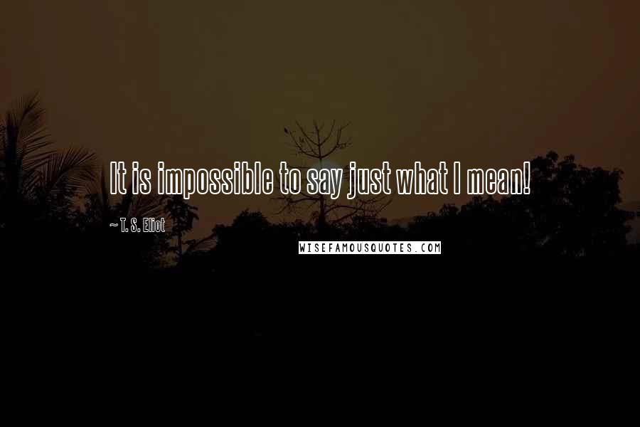 T. S. Eliot Quotes: It is impossible to say just what I mean!
