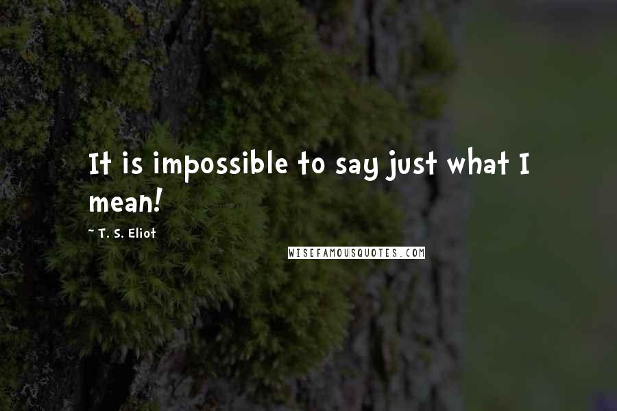 T. S. Eliot Quotes: It is impossible to say just what I mean!
