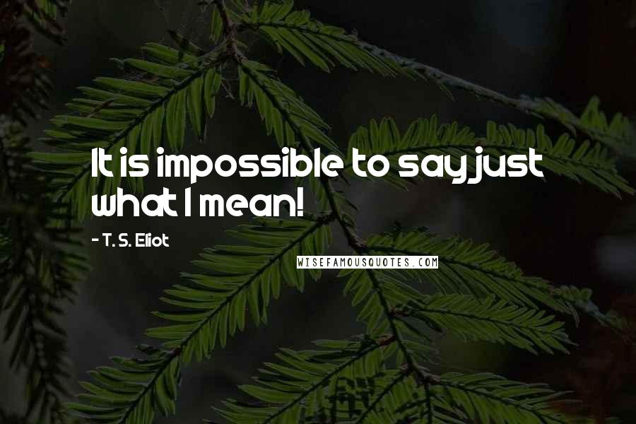 T. S. Eliot Quotes: It is impossible to say just what I mean!