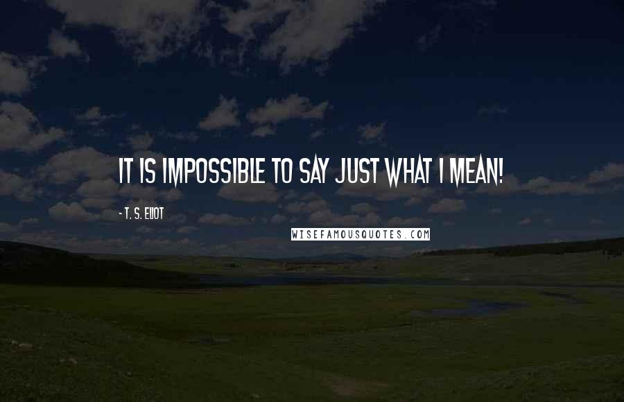 T. S. Eliot Quotes: It is impossible to say just what I mean!