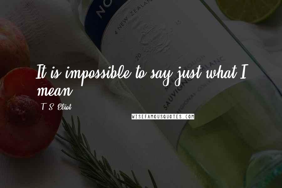 T. S. Eliot Quotes: It is impossible to say just what I mean!