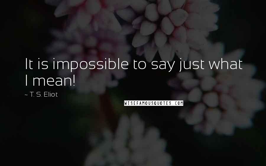 T. S. Eliot Quotes: It is impossible to say just what I mean!