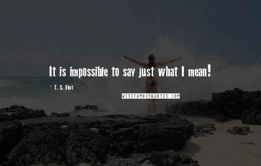 T. S. Eliot Quotes: It is impossible to say just what I mean!