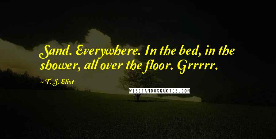 T. S. Eliot Quotes: Sand. Everywhere. In the bed, in the shower, all over the floor. Grrrrr.