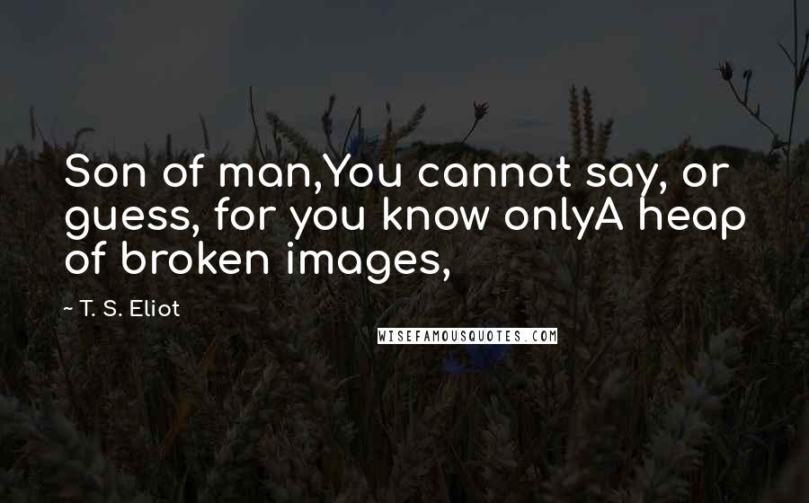 T. S. Eliot Quotes: Son of man,You cannot say, or guess, for you know onlyA heap of broken images,