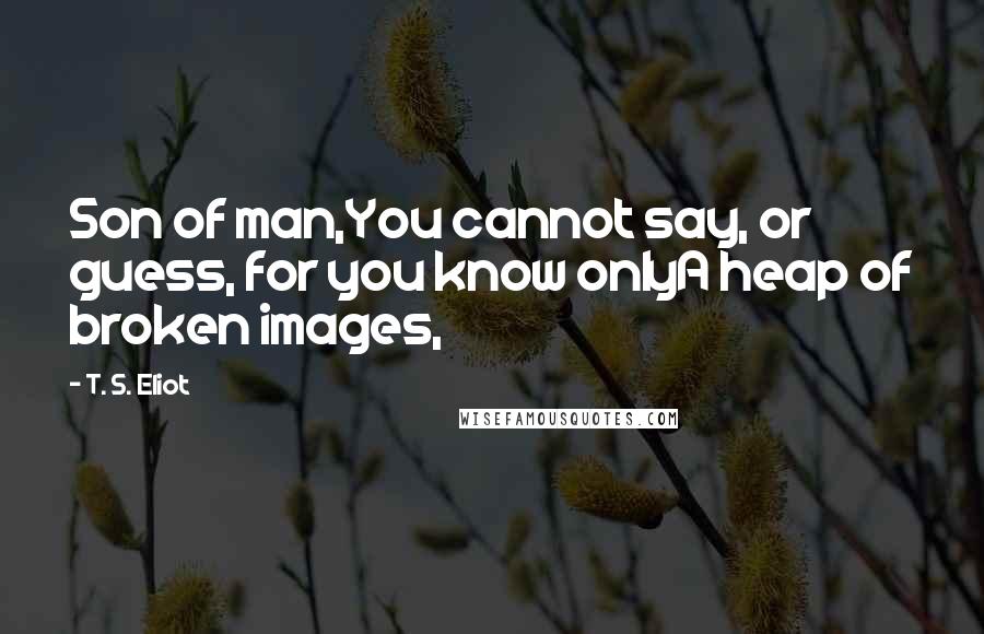 T. S. Eliot Quotes: Son of man,You cannot say, or guess, for you know onlyA heap of broken images,