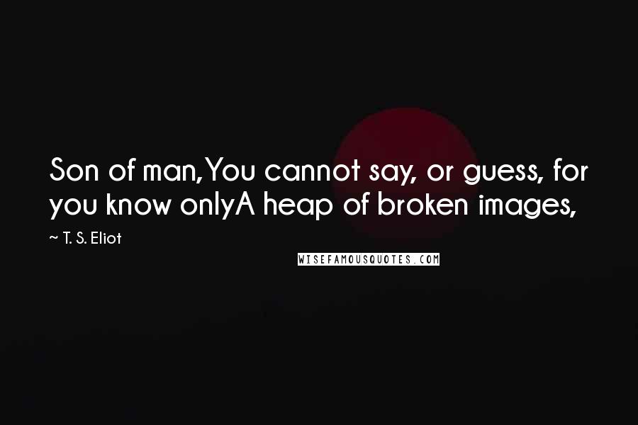 T. S. Eliot Quotes: Son of man,You cannot say, or guess, for you know onlyA heap of broken images,