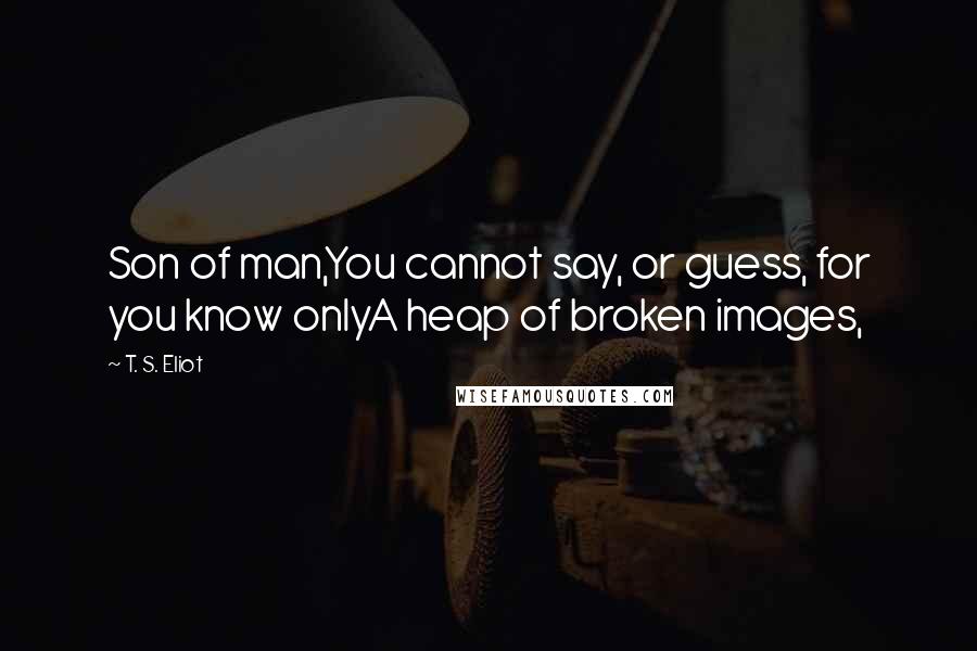 T. S. Eliot Quotes: Son of man,You cannot say, or guess, for you know onlyA heap of broken images,