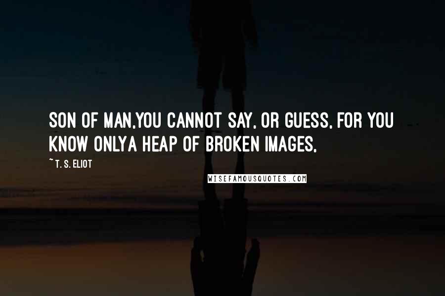 T. S. Eliot Quotes: Son of man,You cannot say, or guess, for you know onlyA heap of broken images,