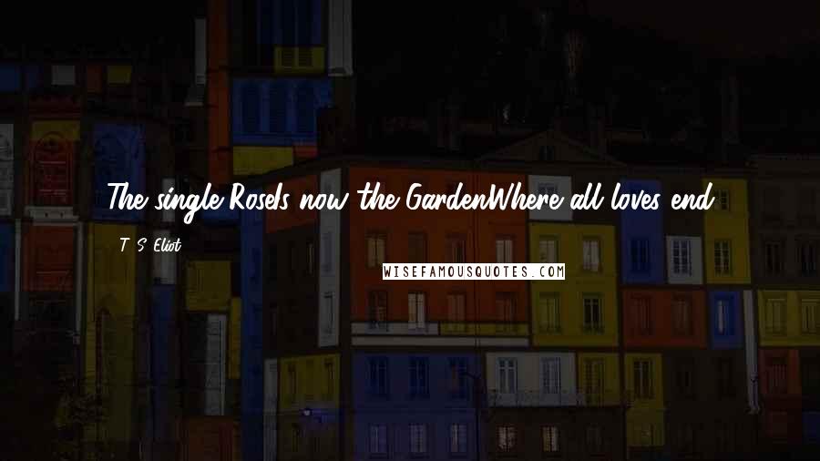 T. S. Eliot Quotes: The single RoseIs now the GardenWhere all loves end