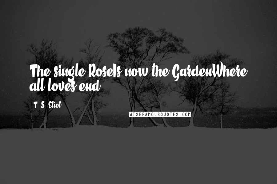 T. S. Eliot Quotes: The single RoseIs now the GardenWhere all loves end