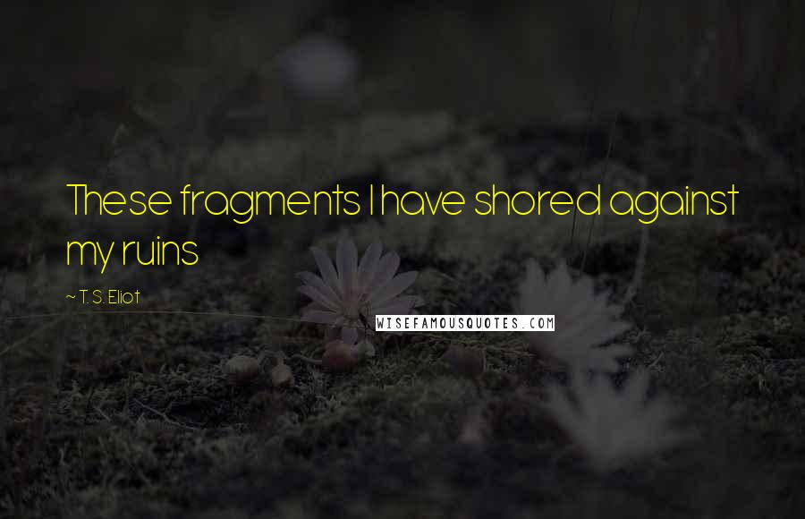 T. S. Eliot Quotes: These fragments I have shored against my ruins