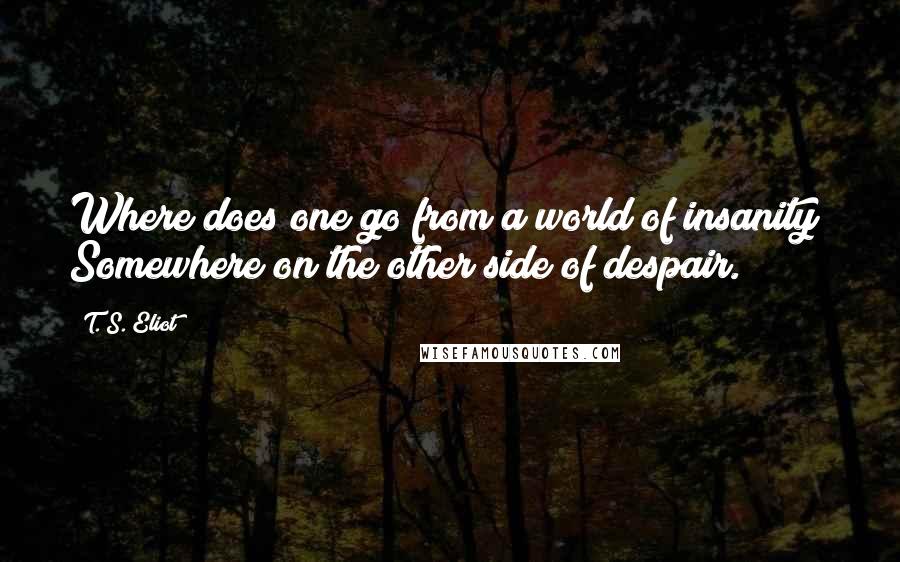 T. S. Eliot Quotes: Where does one go from a world of insanity? Somewhere on the other side of despair.