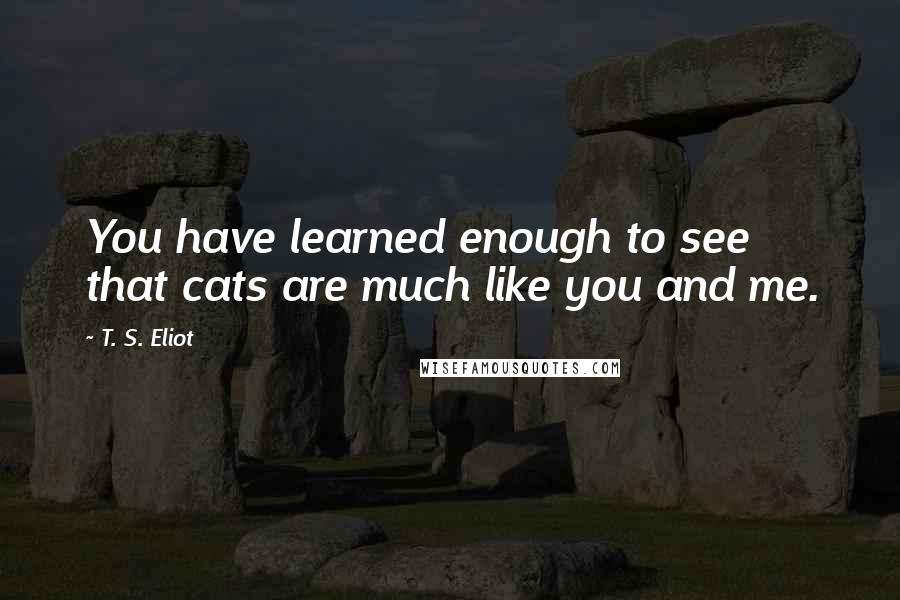 T. S. Eliot Quotes: You have learned enough to see that cats are much like you and me.