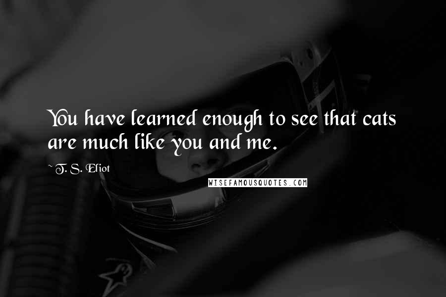 T. S. Eliot Quotes: You have learned enough to see that cats are much like you and me.