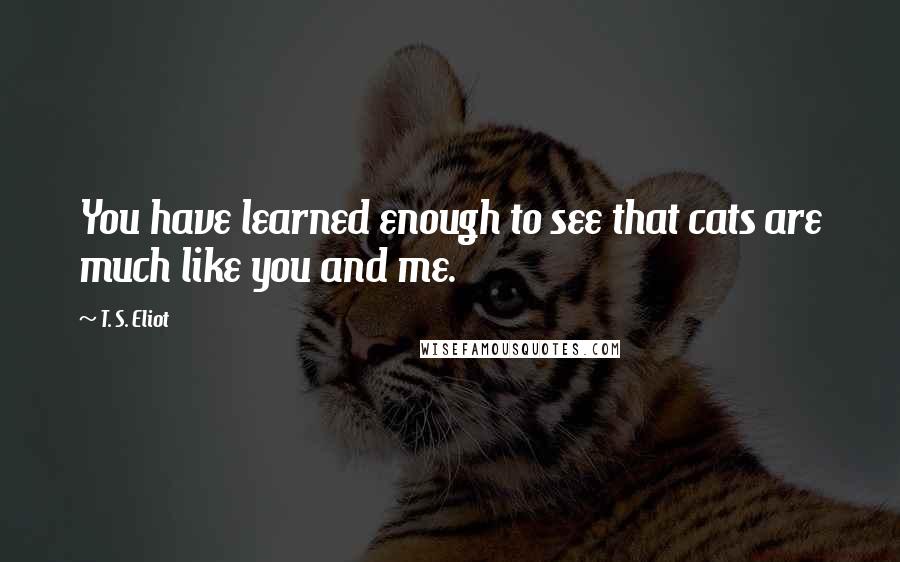 T. S. Eliot Quotes: You have learned enough to see that cats are much like you and me.