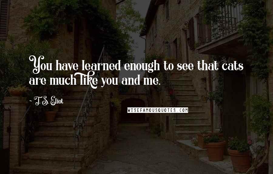 T. S. Eliot Quotes: You have learned enough to see that cats are much like you and me.