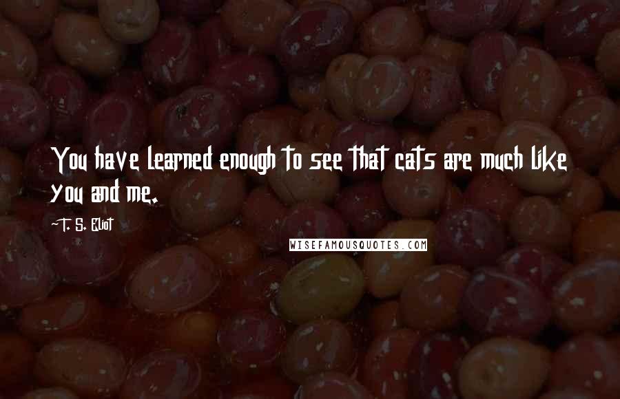 T. S. Eliot Quotes: You have learned enough to see that cats are much like you and me.