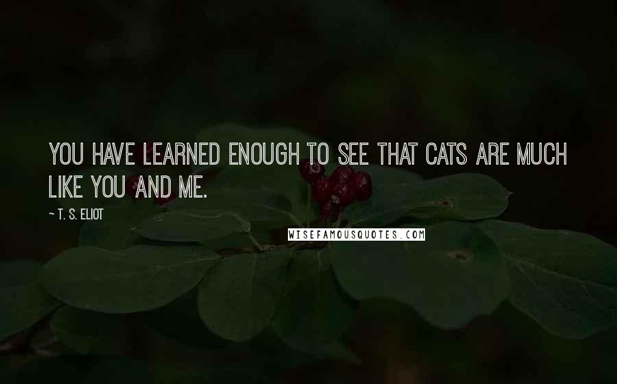 T. S. Eliot Quotes: You have learned enough to see that cats are much like you and me.