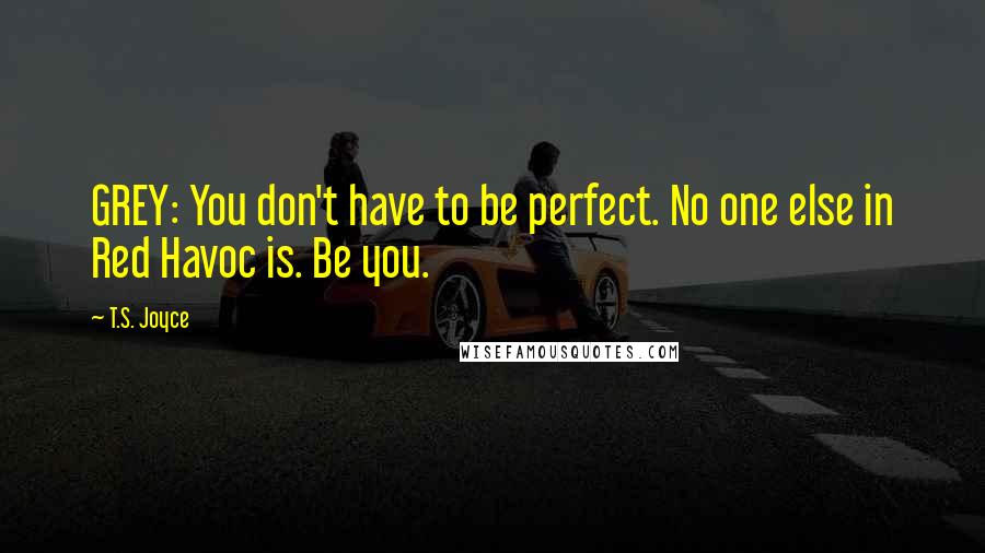 T.S. Joyce Quotes: GREY: You don't have to be perfect. No one else in Red Havoc is. Be you.