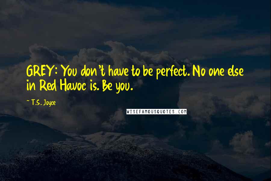T.S. Joyce Quotes: GREY: You don't have to be perfect. No one else in Red Havoc is. Be you.