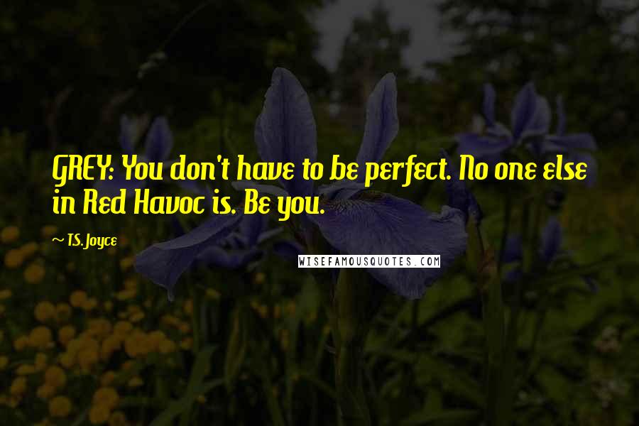 T.S. Joyce Quotes: GREY: You don't have to be perfect. No one else in Red Havoc is. Be you.