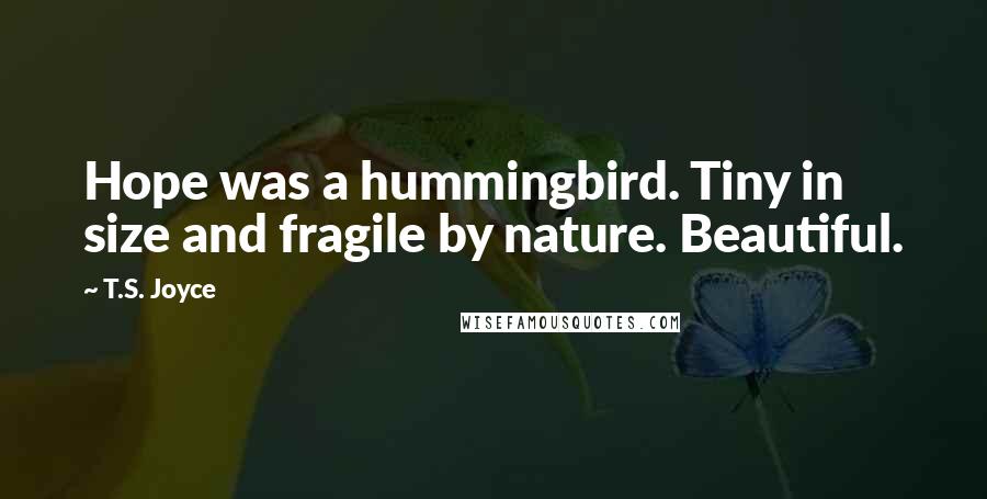T.S. Joyce Quotes: Hope was a hummingbird. Tiny in size and fragile by nature. Beautiful.