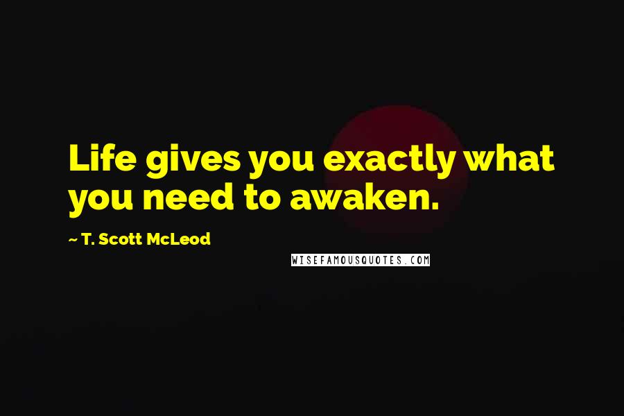 T. Scott McLeod Quotes: Life gives you exactly what you need to awaken.