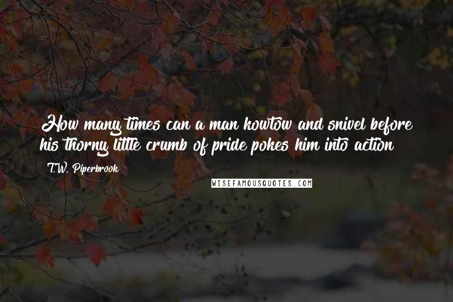 T.W. Piperbrook Quotes: How many times can a man kowtow and snivel before his thorny little crumb of pride pokes him into action?