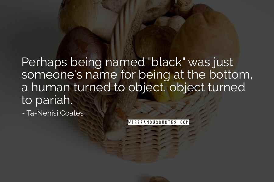 Ta-Nehisi Coates Quotes: Perhaps being named "black" was just someone's name for being at the bottom, a human turned to object, object turned to pariah.