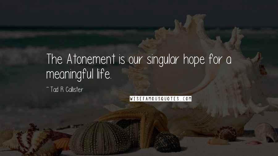 Tad R. Callister Quotes: The Atonement is our singular hope for a meaningful life.
