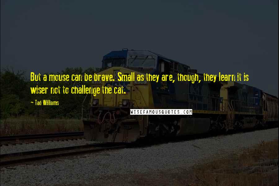 Tad Williams Quotes: But a mouse can be brave. Small as they are, though, they learn it is wiser not to challenge the cat.