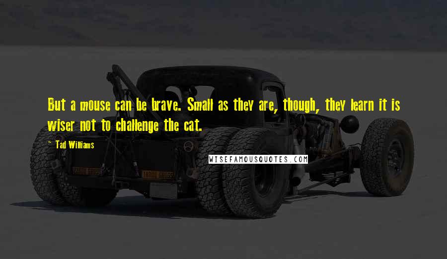 Tad Williams Quotes: But a mouse can be brave. Small as they are, though, they learn it is wiser not to challenge the cat.