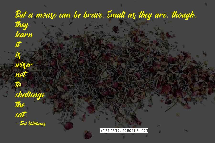 Tad Williams Quotes: But a mouse can be brave. Small as they are, though, they learn it is wiser not to challenge the cat.