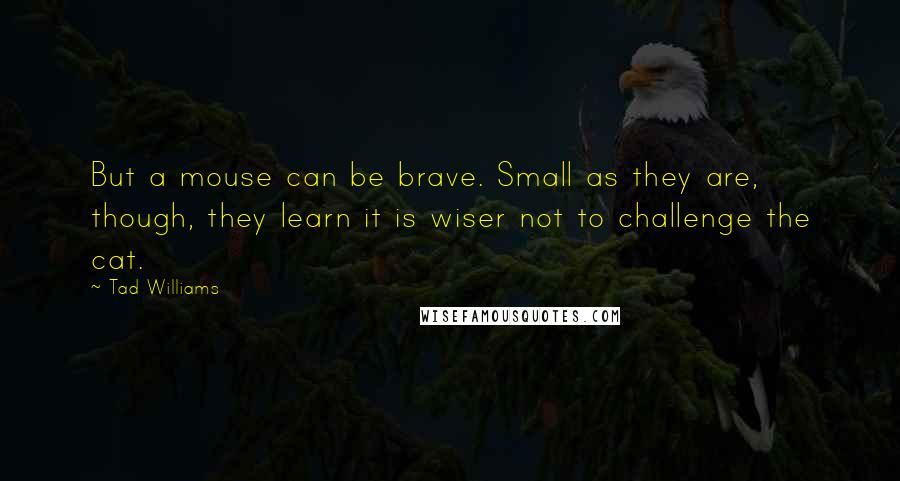 Tad Williams Quotes: But a mouse can be brave. Small as they are, though, they learn it is wiser not to challenge the cat.