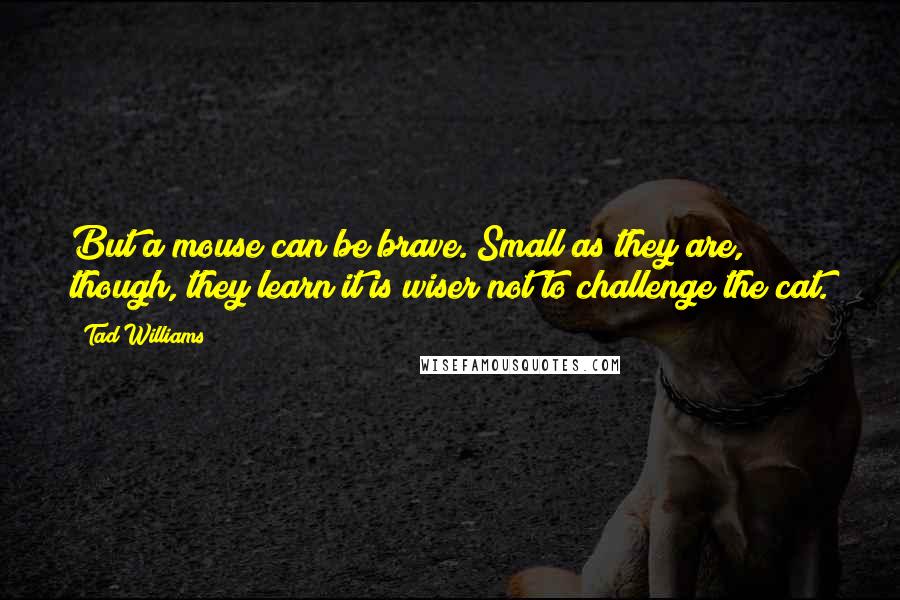 Tad Williams Quotes: But a mouse can be brave. Small as they are, though, they learn it is wiser not to challenge the cat.
