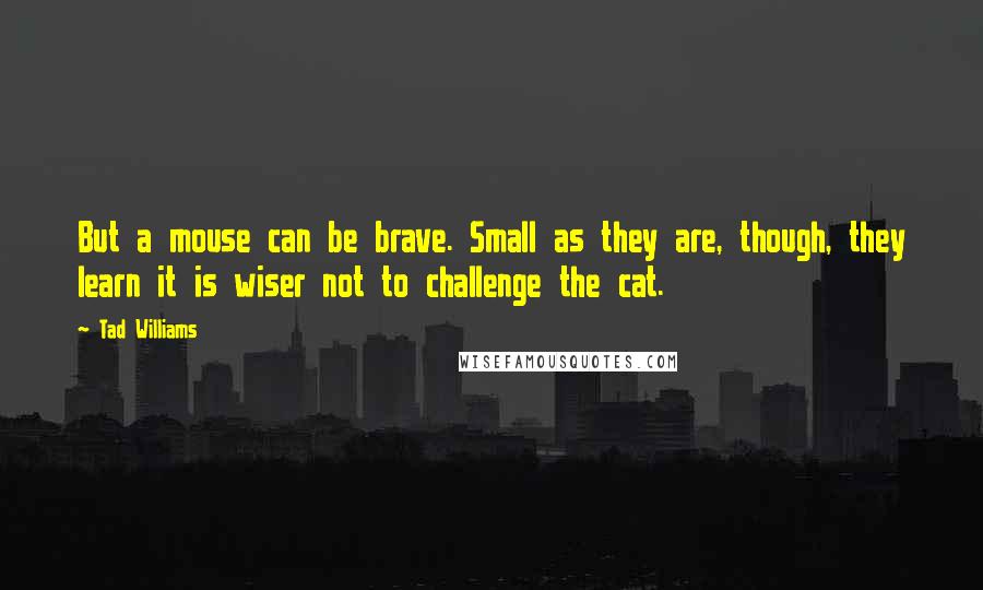 Tad Williams Quotes: But a mouse can be brave. Small as they are, though, they learn it is wiser not to challenge the cat.