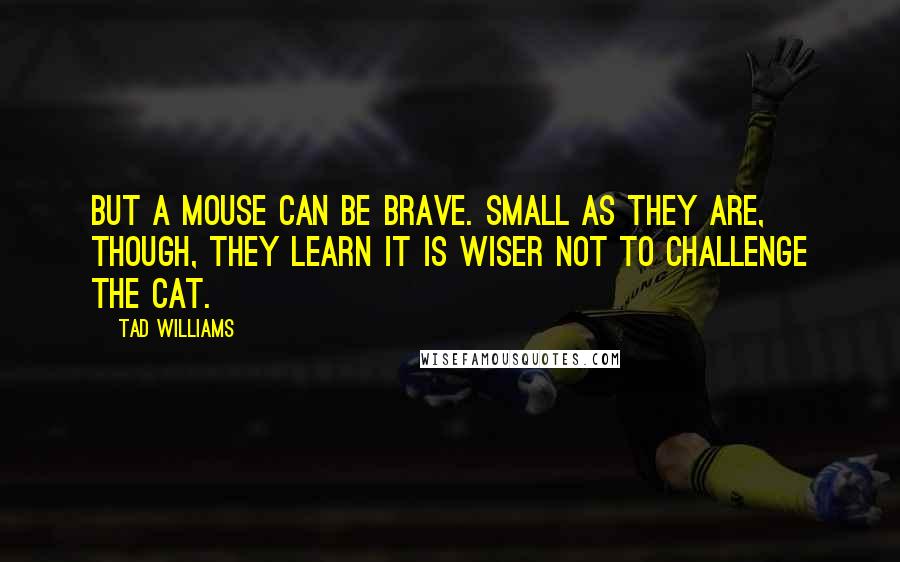 Tad Williams Quotes: But a mouse can be brave. Small as they are, though, they learn it is wiser not to challenge the cat.