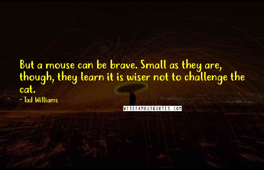 Tad Williams Quotes: But a mouse can be brave. Small as they are, though, they learn it is wiser not to challenge the cat.