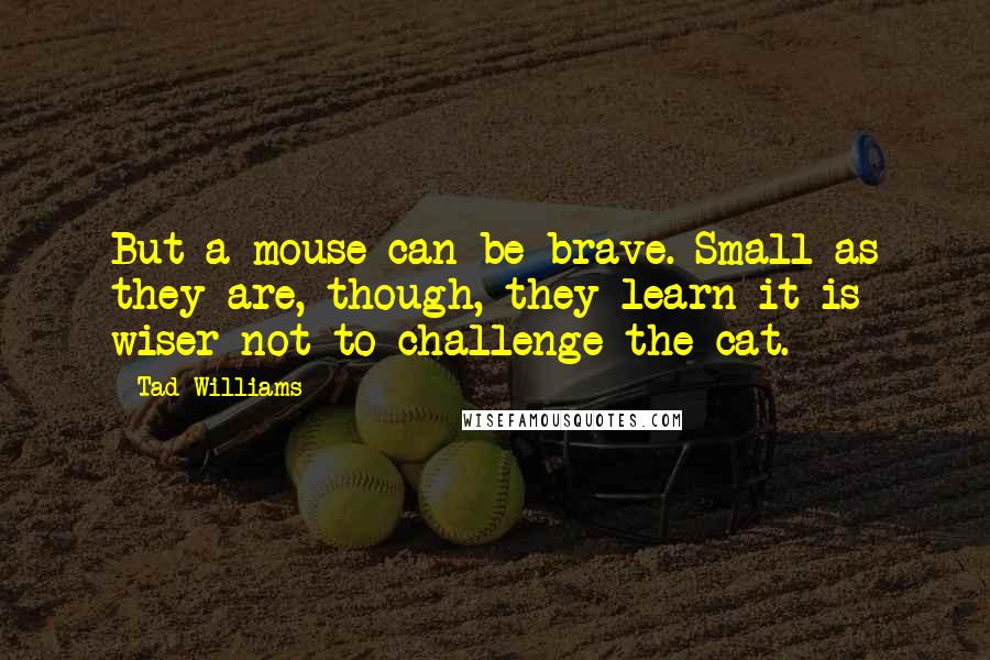 Tad Williams Quotes: But a mouse can be brave. Small as they are, though, they learn it is wiser not to challenge the cat.