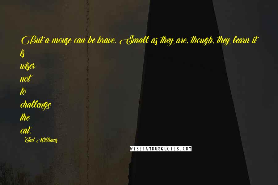 Tad Williams Quotes: But a mouse can be brave. Small as they are, though, they learn it is wiser not to challenge the cat.