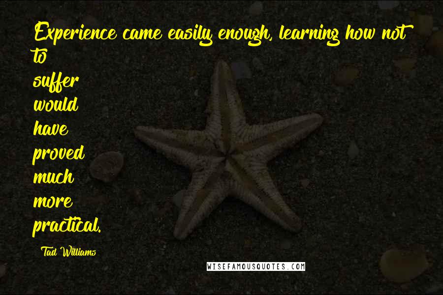 Tad Williams Quotes: Experience came easily enough, learning how not to suffer would have proved much more practical.