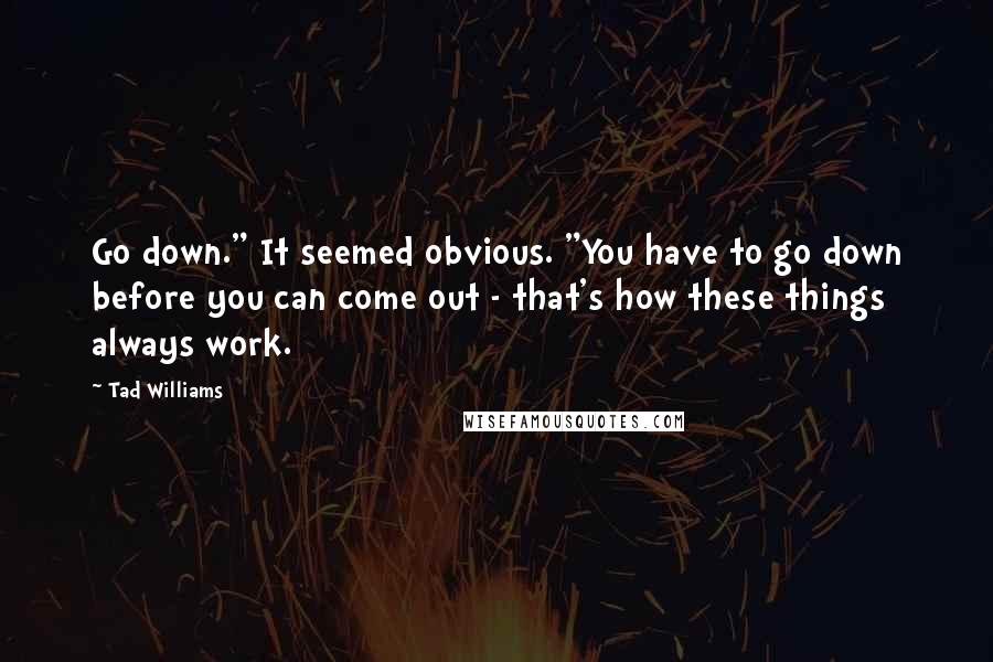 Tad Williams Quotes: Go down." It seemed obvious. "You have to go down before you can come out - that's how these things always work.