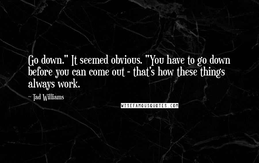 Tad Williams Quotes: Go down." It seemed obvious. "You have to go down before you can come out - that's how these things always work.