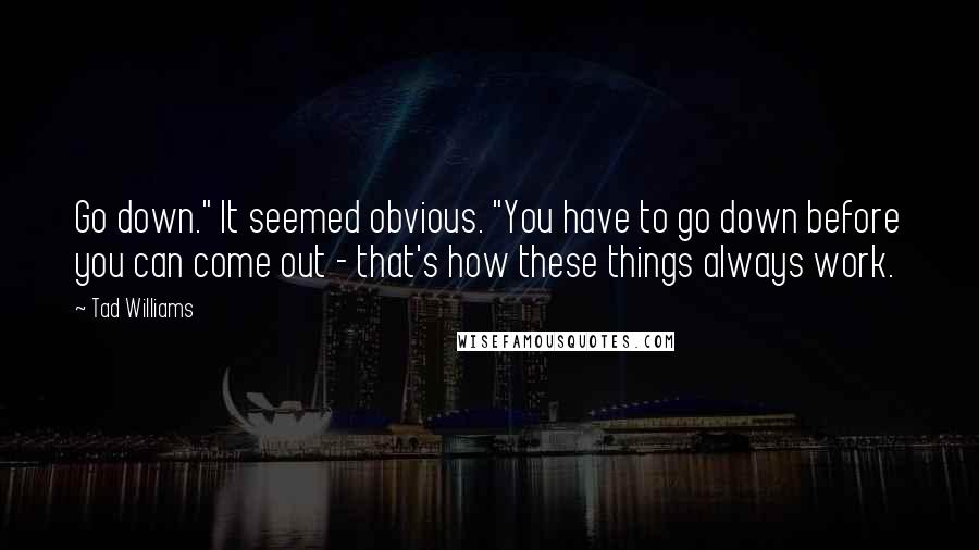 Tad Williams Quotes: Go down." It seemed obvious. "You have to go down before you can come out - that's how these things always work.