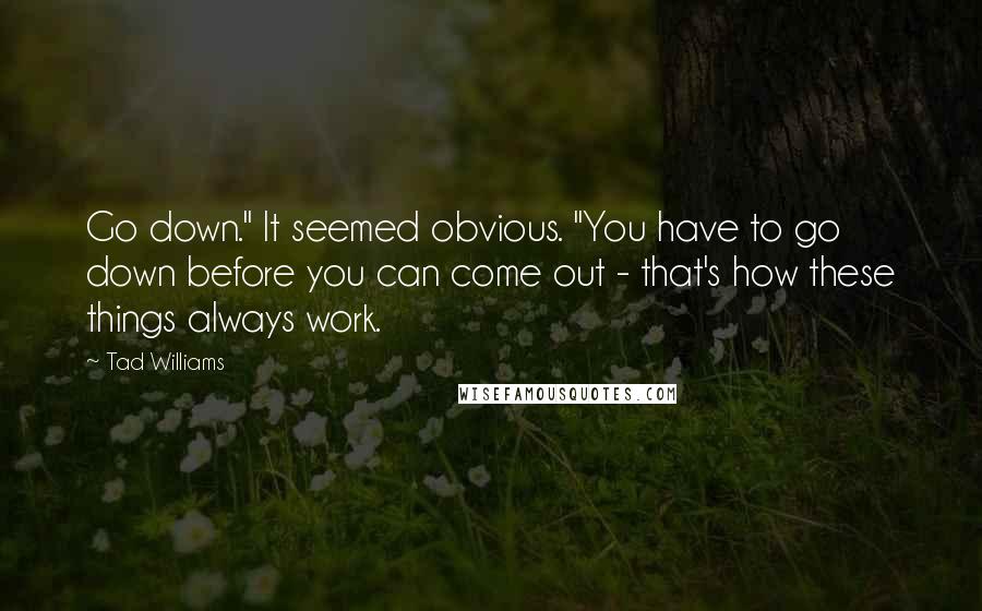 Tad Williams Quotes: Go down." It seemed obvious. "You have to go down before you can come out - that's how these things always work.