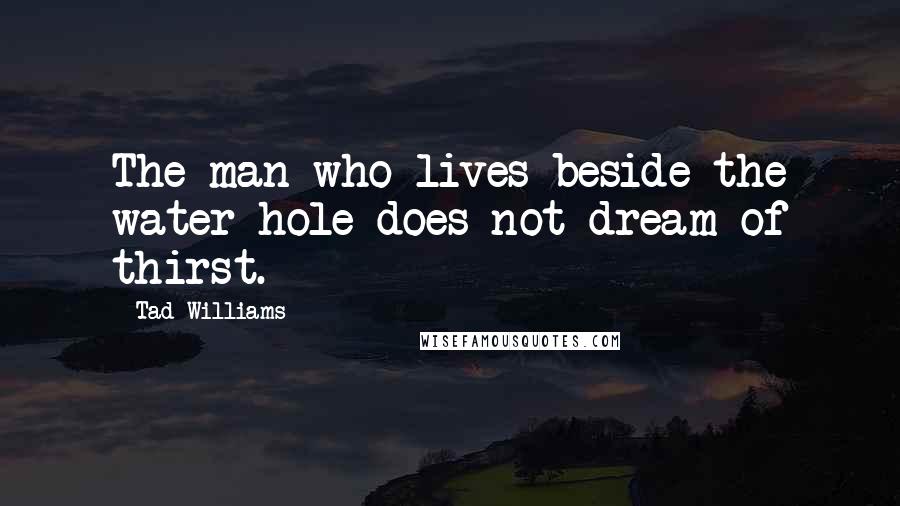 Tad Williams Quotes: The man who lives beside the water hole does not dream of thirst.