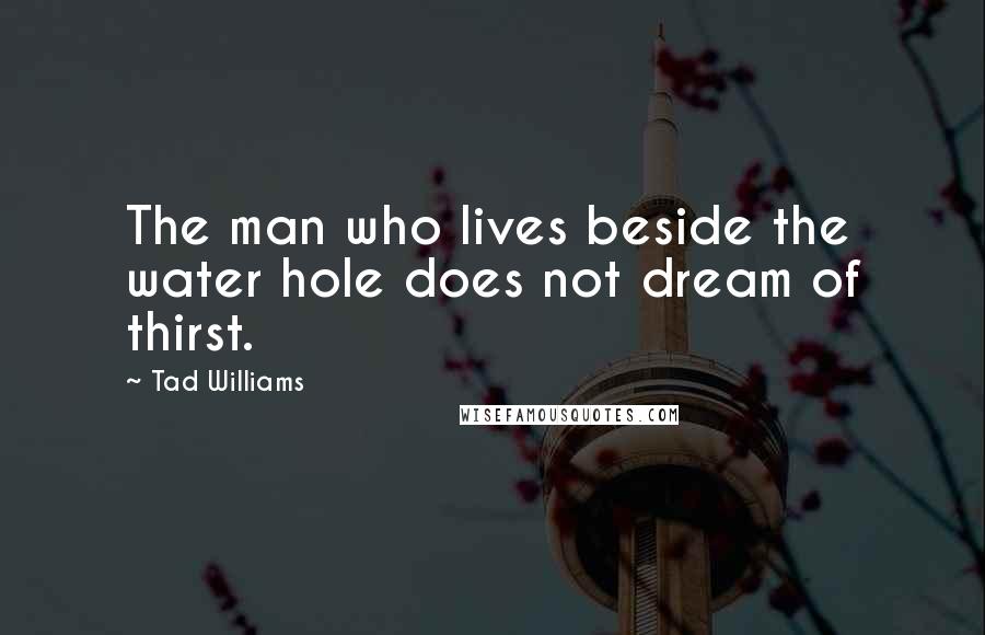 Tad Williams Quotes: The man who lives beside the water hole does not dream of thirst.